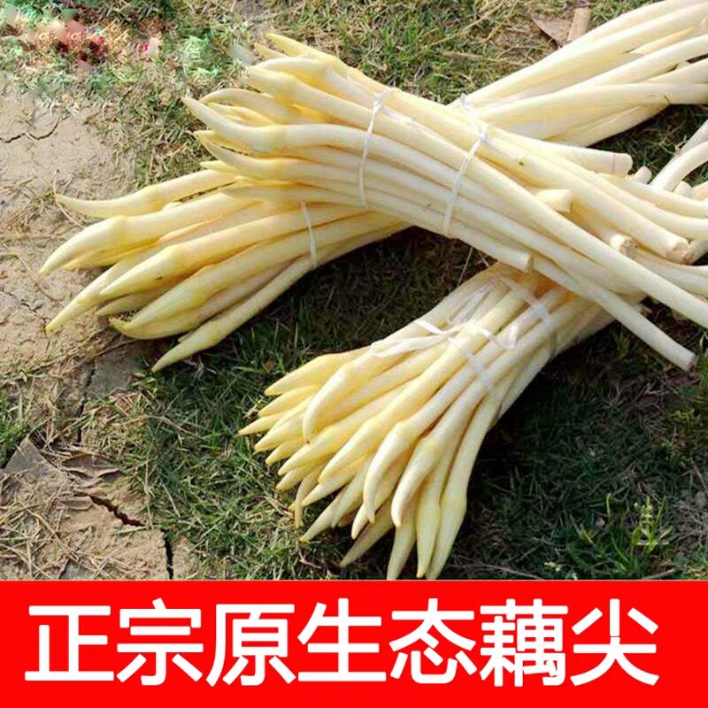 纸箱行业的兴衰与革新